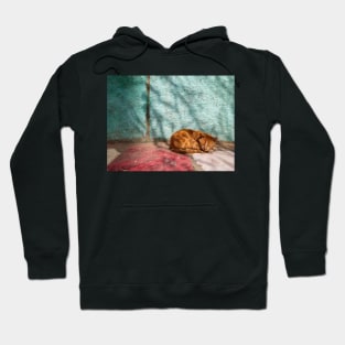 Cat orange sleep (naps) Hoodie